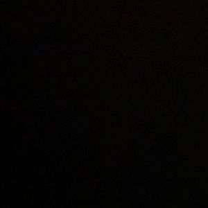 Meet your Posher, Temi